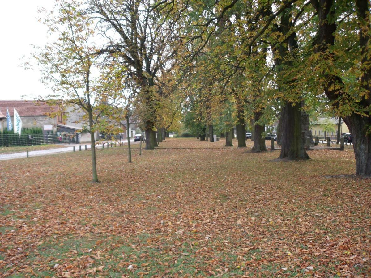 Ferienwohnung Blankenfelde Buitenkant foto